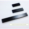 2.54mm Straight Female Single Row Pin Header